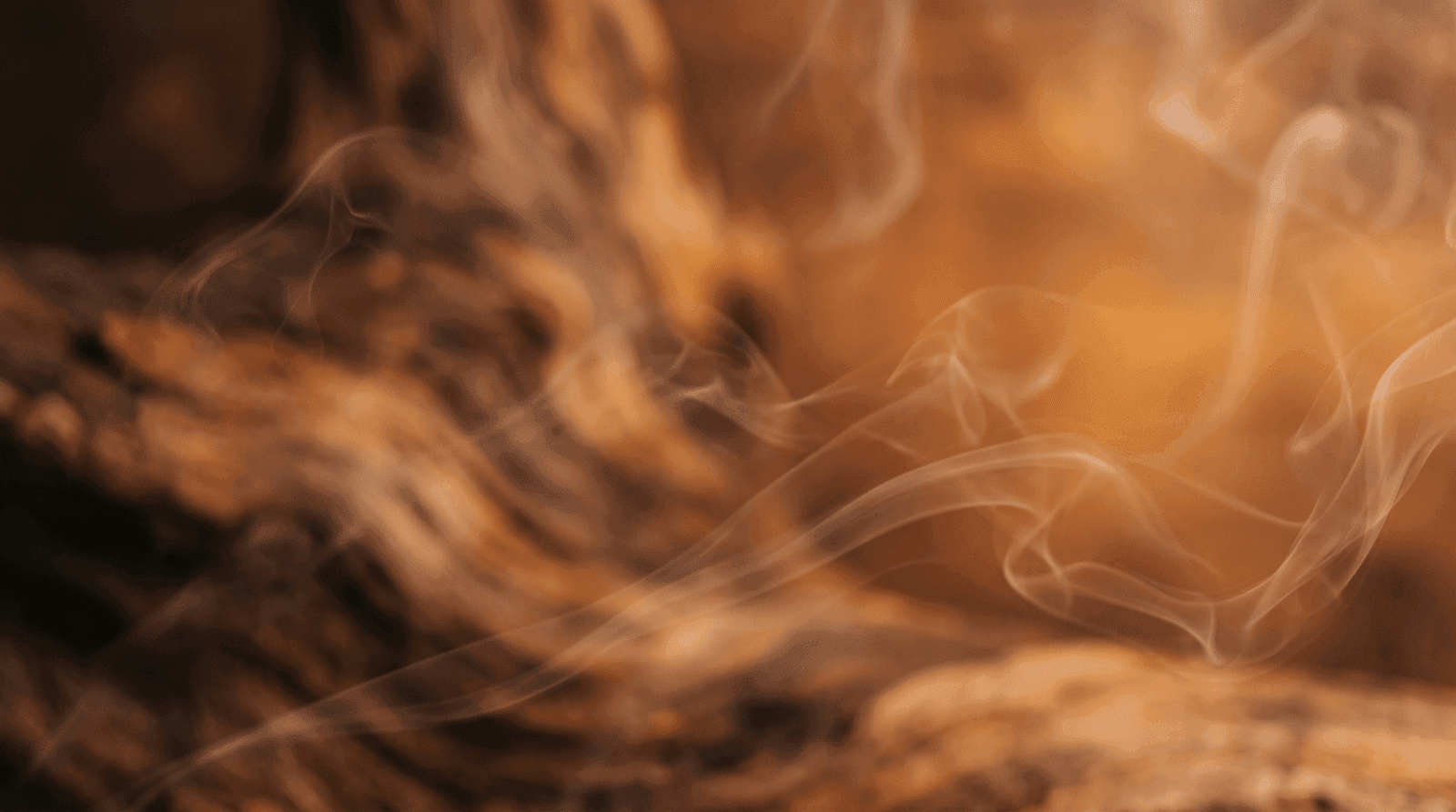 Warm amber haze — a soft cloud of fragrance in golden light